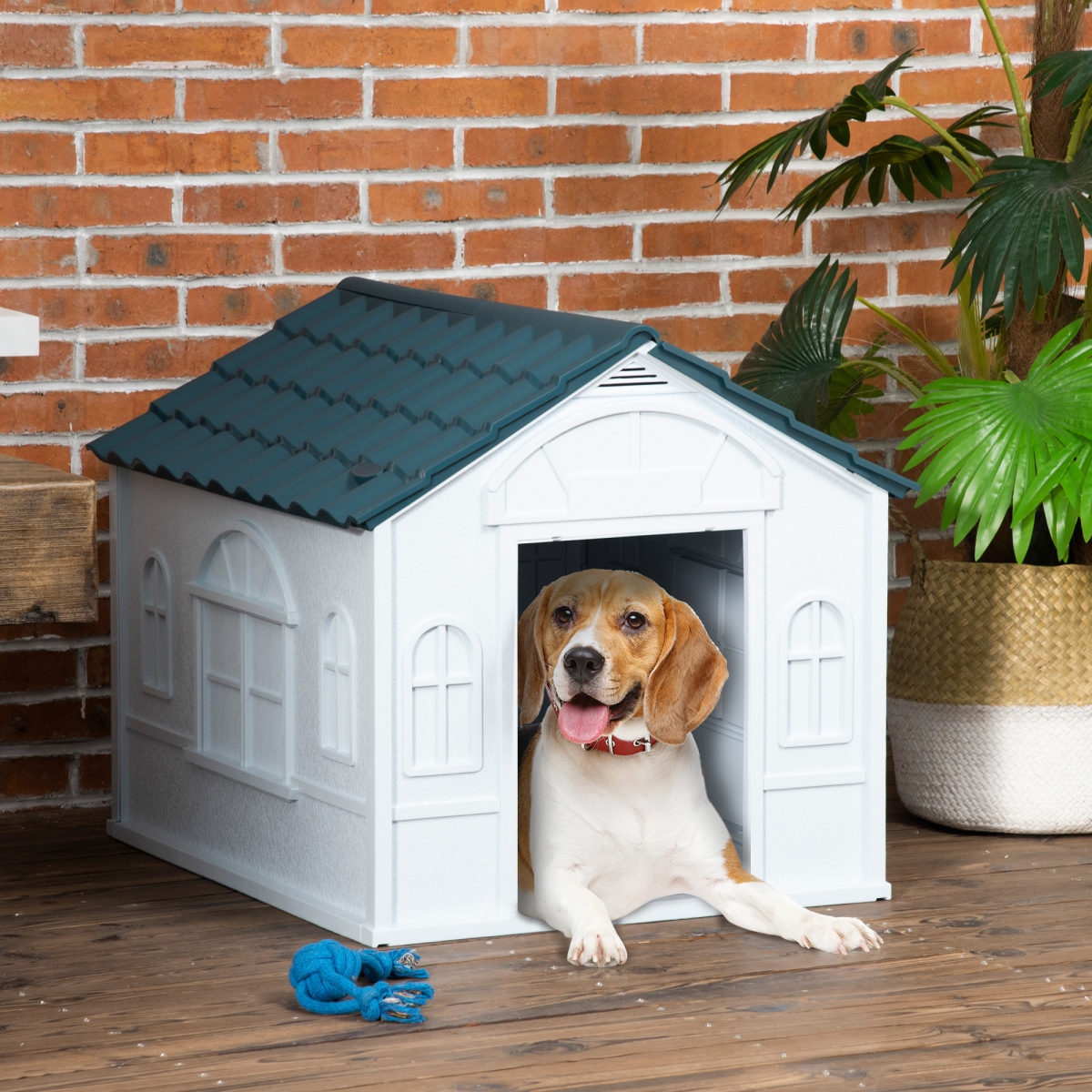 Dog House / Kennel