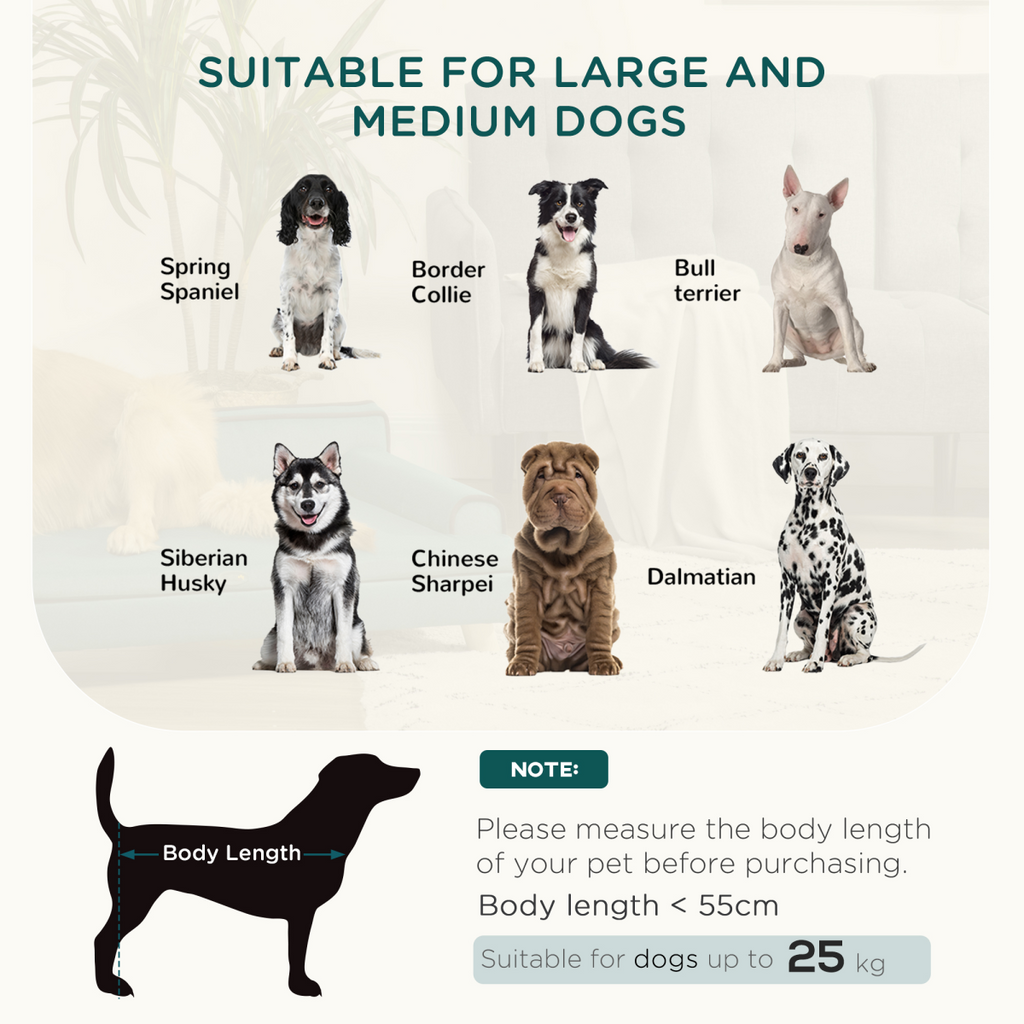 Dog Sofa w/ Legs, Water-Resistant Fabric for Large, Medium Dogs - Green