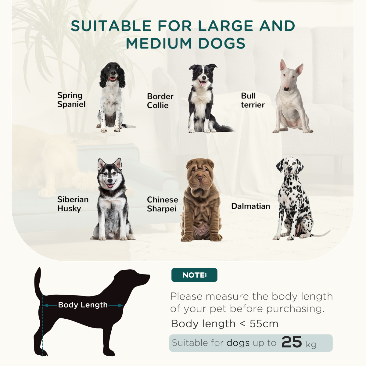 Dog Sofa w/ Legs, Water-Resistant Fabric for Large, Medium Dogs - Green