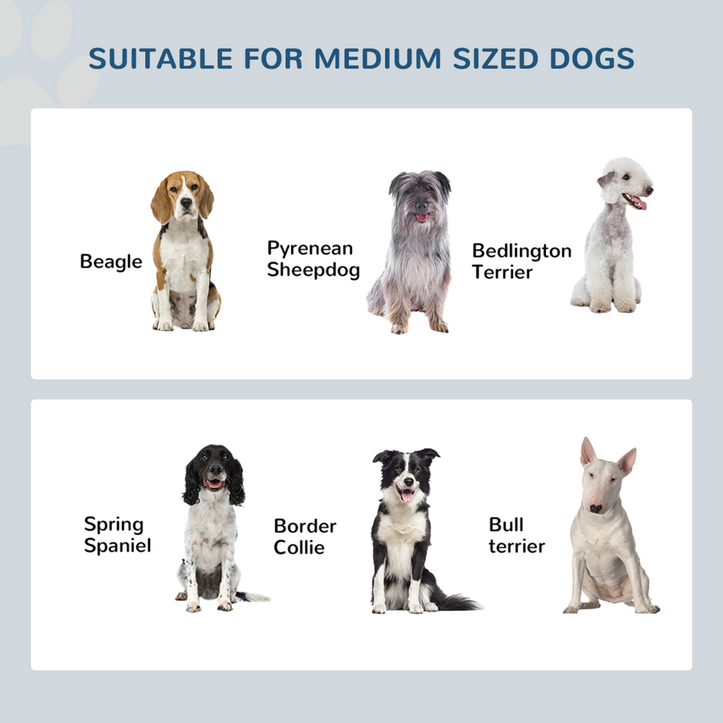 Raised Dog Bowls Pet Feeder Raised Elevated Stainless Steel Food Grey