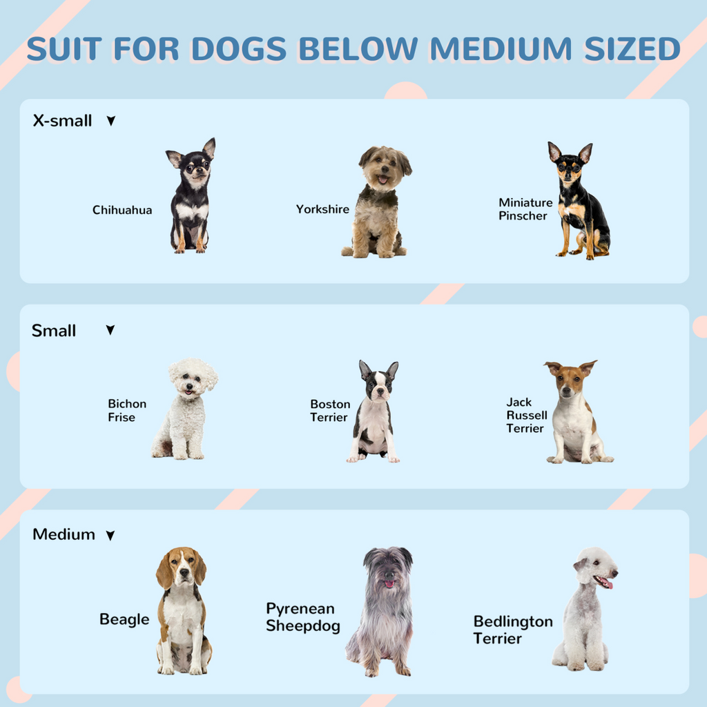 Weather-Resistant Dog House, Puppy Shelter for Medium Dogs - Blue