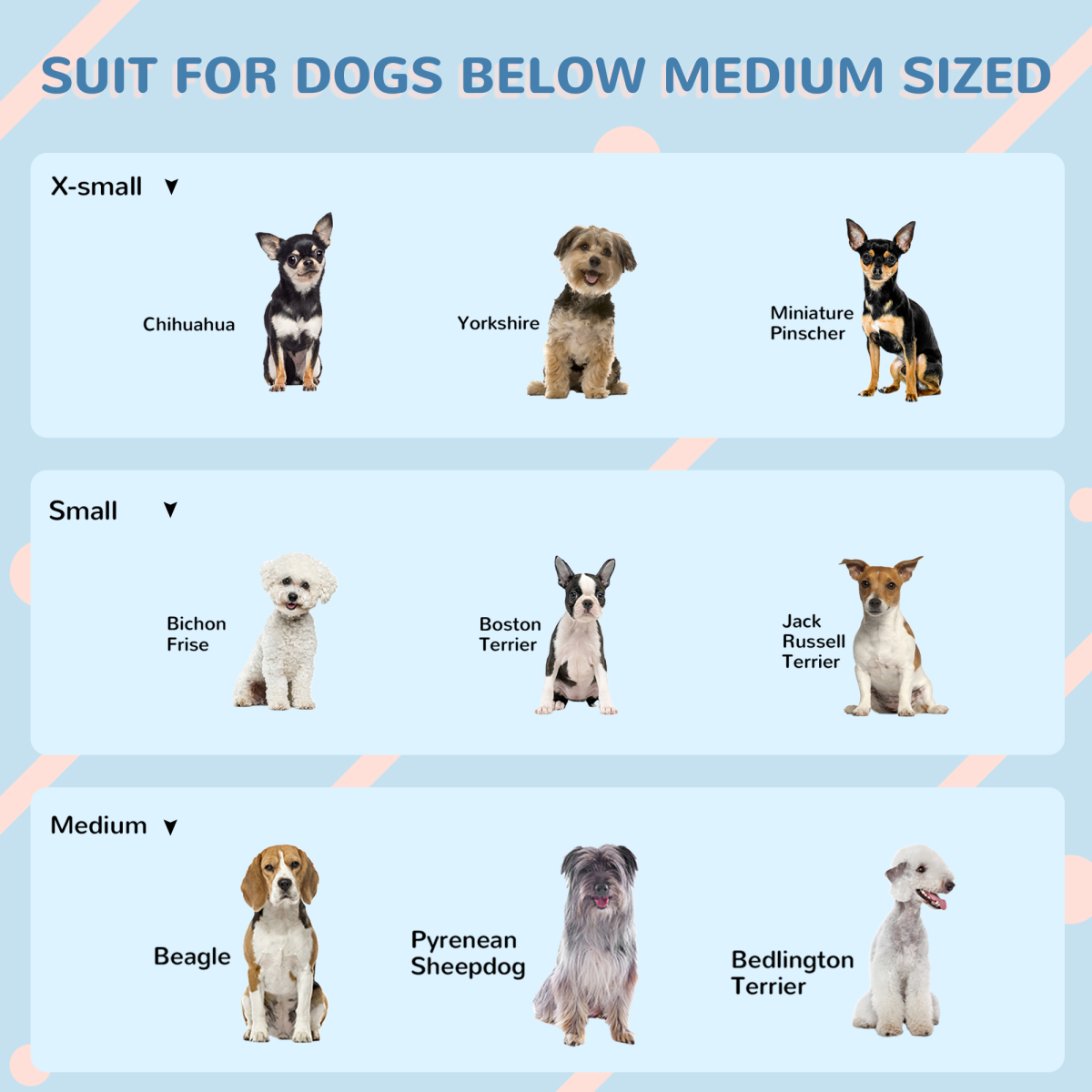 Weather-Resistant Dog House, Puppy Shelter for Medium Dogs - Blue