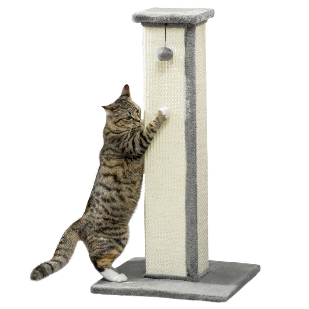Cat Scratching Post 81cm Cat Scratcher w/ Natural Sisal Rope Hanging Ball Grey
